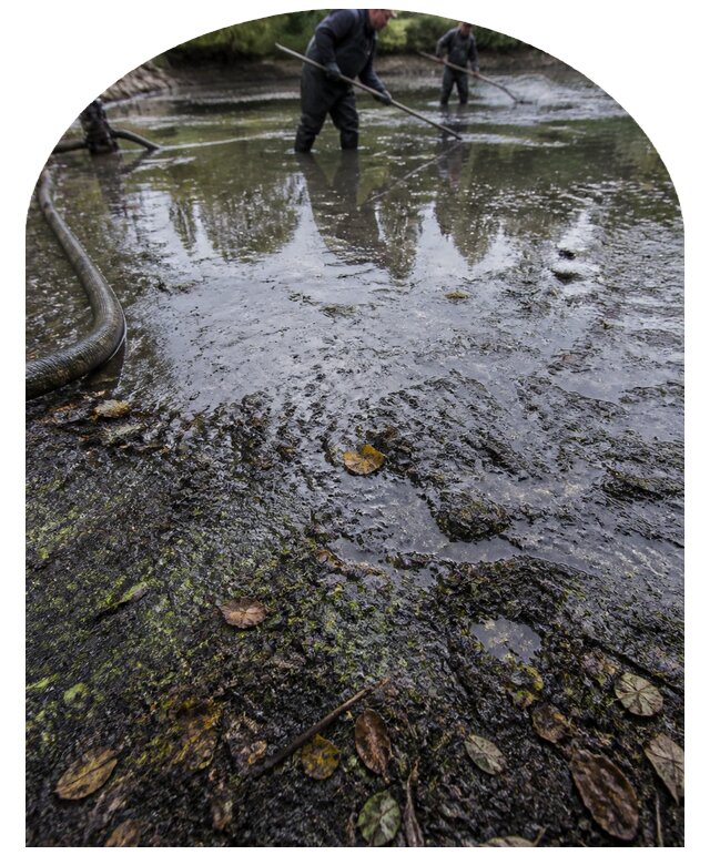 Очистка пруда в Тейково от ила мусора и водорослей с вывозом
